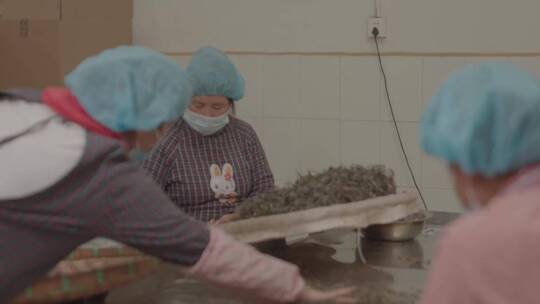 普洱茶 茶厂生产线 茶艺视频素材模板下载