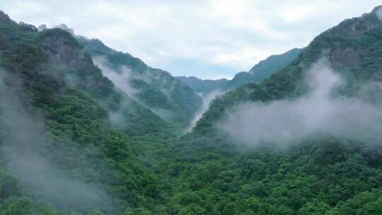 雨后清晨山谷航拍云雾蒸腾森林绿色心旷神怡