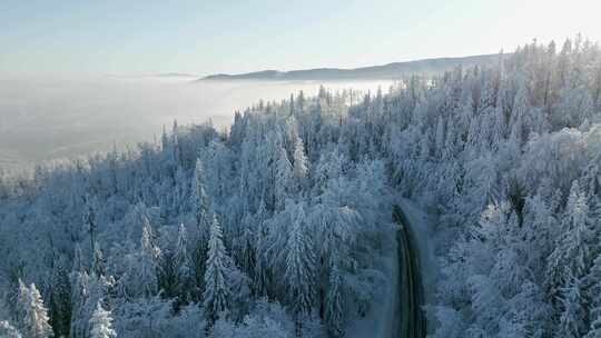 大雪雾凇森林雪景