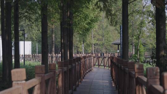 城市郊野公园木栈道视频素材模板下载