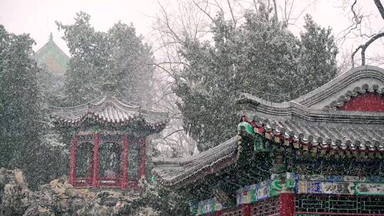 升格初春北京北海公园中式园林里飘落的雪花视频素材模板下载