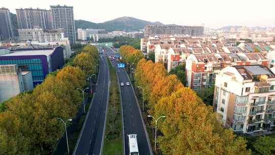 城市秋天道路风景航拍