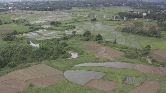 田园 田野 农田 农村 农地 耕种视频素材模板下载