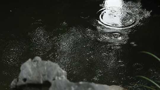 下雨天水波纹池塘水面水滴氛围中式东方禅意