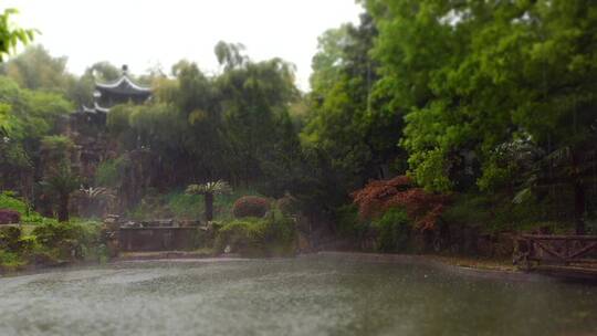 阴天小雨中的园林庭院降雨竹林雨中古建筑