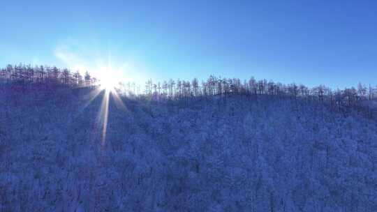 航拍大兴安岭冬季林海雪原