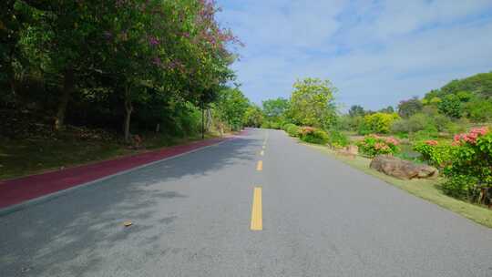 唯美乡村公路道路县道