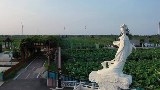 金湖荷花荡 航拍