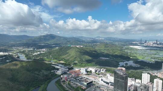 深圳河 水系 香港 交界处 水塘 红树林 湿地