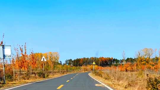 乡间公路秋天景色