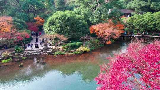 杭州九溪烟树