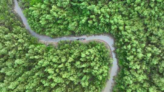 4k广东江门滨海新区银湖湾湿地红树林航拍