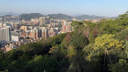 蓝天和夕阳下被森林环绕的城市