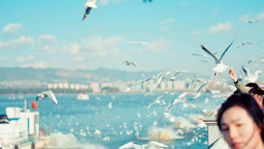 冬日暧阳下的昆明海埂大坝