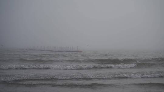 大海飞鸟海面海鸟捕鱼抓鱼阴天海边雨天雾天