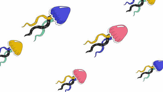 成群水母一起游泳线卡通动画