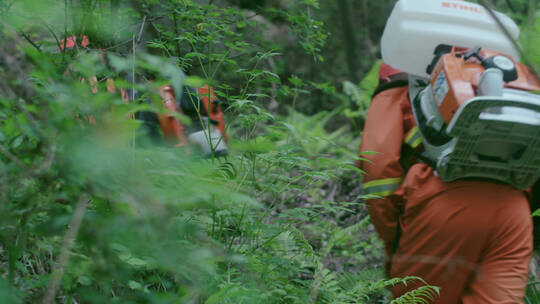 森林防火护林工作人员进森林日常巡护视频素材模板下载