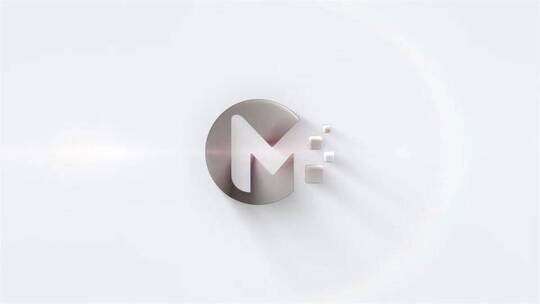 简单的轮廓Logo Reveal时尚企业宣传AE模板