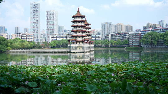 武汉汉口宝岛公园风景