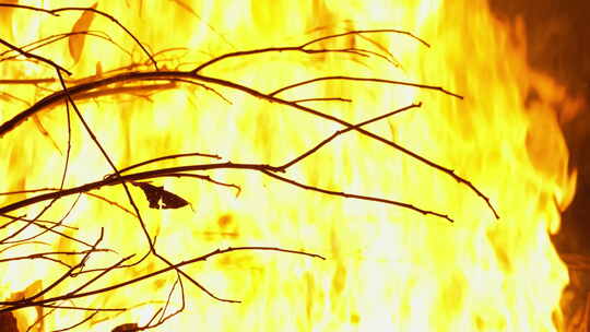 燃烧的篝火枯树枝火焰木炭视频素材模板下载