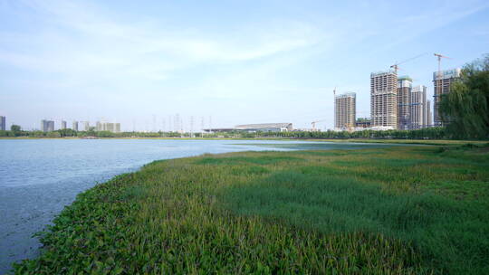 武汉杨春湖城市生态公园风景