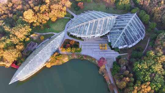 南京秋天 前湖公园 秋天 植物博物馆