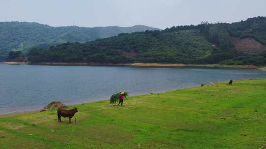 乡村山水田园风光山川湖泊草地