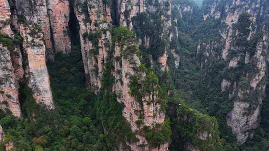 湖南张家界武陵源袁家界地质奇观