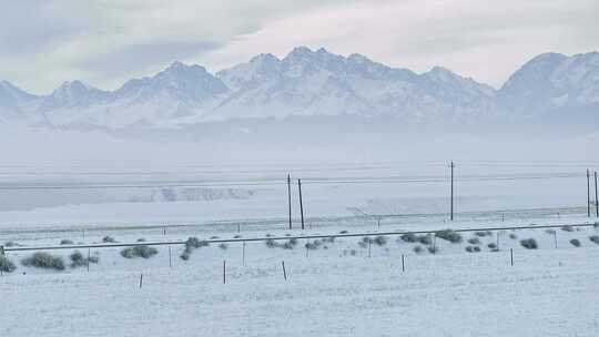 冬天 雪山下的马