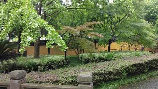 寺庙下雨素材苏州北寺塔实拍