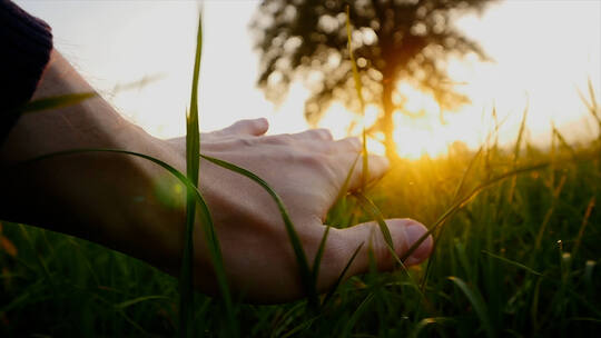 温暖充满希望写意镜头