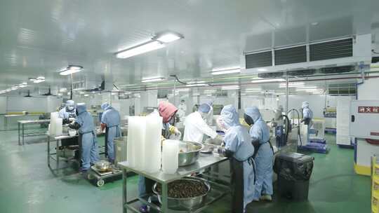 食品加工厂 鸭脖休息食品生产 食品工业园区