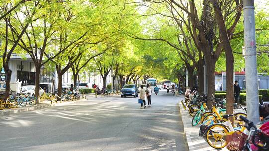 秋季城市街道人群路人上班人群