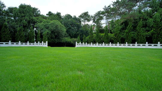 蓝天阳光草坪公园草地绿地