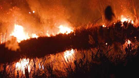 火灾大火山火现场