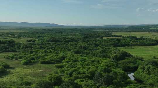 航拍国家森林公园湿地风景