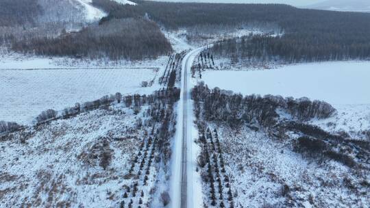 寒冷冬天行驶在冰雪道路上的汽车