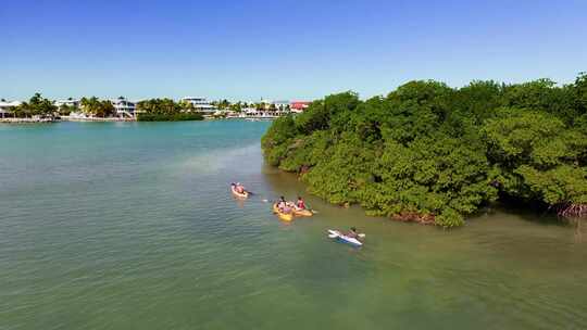 皮划艇，Tavernier Key，红树