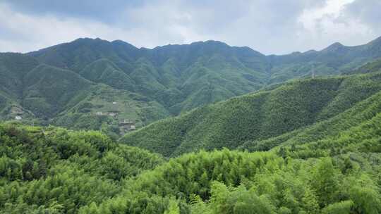 平塘马安竹海航拍 竹林森林云海