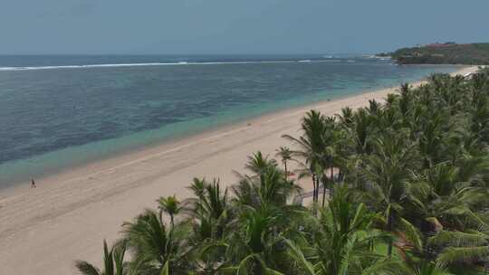 HDR印尼巴厘岛努沙杜瓦海滨棕榈自然风光