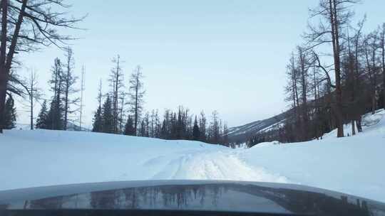 冬季喀纳斯湖雪山脚下汽车在积雪路面上行驶