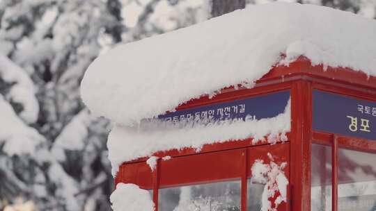 下雪的城市  湖边下雪 城市的冬天