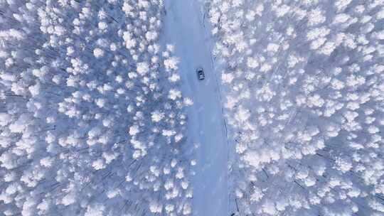 航拍汽车行走在被雪覆盖的树林和小路