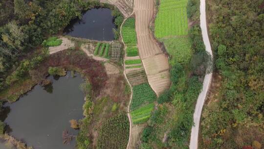 航拍湖北黄冈浠水县农村建设