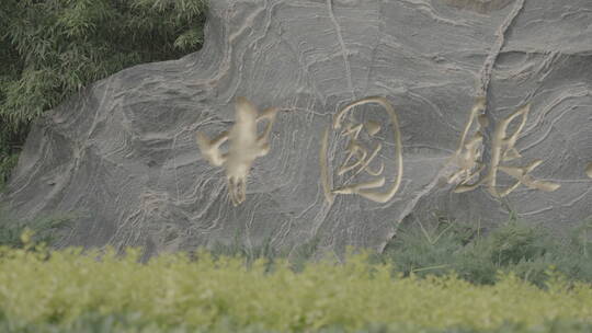 中国银行 银行素材