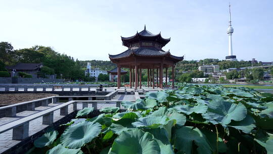 武汉汉阳莲花湖公园风景视频素材模板下载