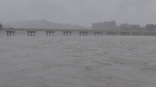 暴雨洪水LOG视频素材