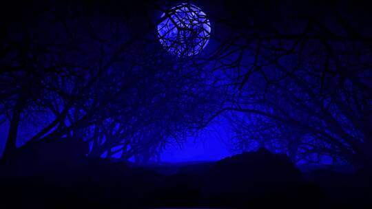 在一轮大月亮下的3D暗色干树森林
