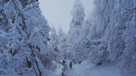 峨眉山游客从大雪覆盖的登山步道下山视频素材模板下载
