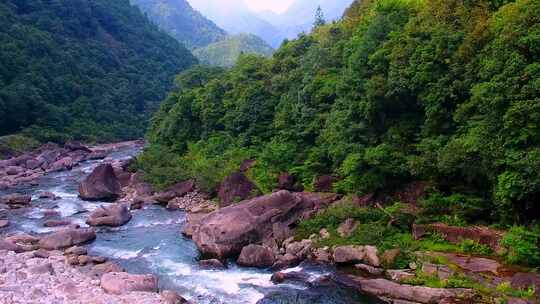 航拍武夷山桐木溪峡谷森林中的清澈溪流岩石